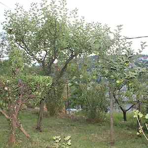 Tutnovo 13 Rijeka